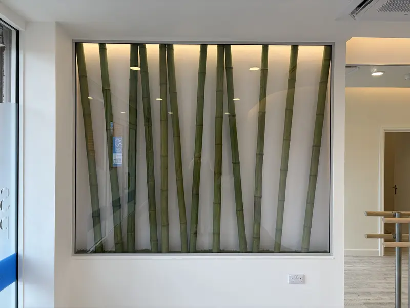 Showe Physio — completed project